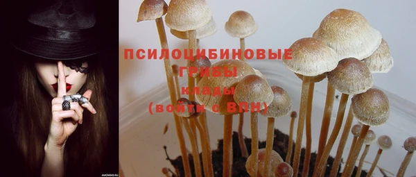 тгк Алексеевка