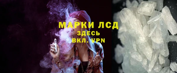 прущие грибы Абаза