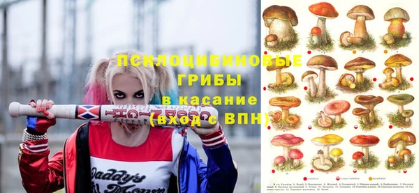 a pvp Алексин